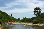 高山流水