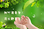 绿色展板