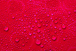 水珠