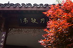 红叶