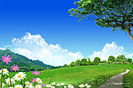 田园风光