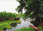 德清 小河