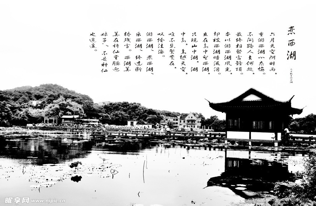 恋西湖