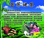 苦荞健茶
