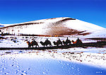 雪上鸣沙山