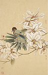 国画工笔花鸟 之鸟