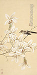 国画工笔花鸟