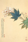 国画工笔牡丹
