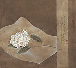 国画工笔花鸟