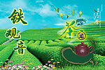 铁观音茶叶