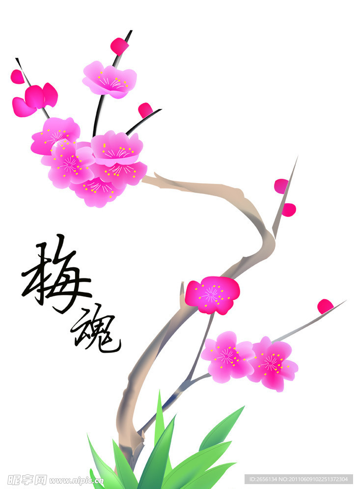 梅花