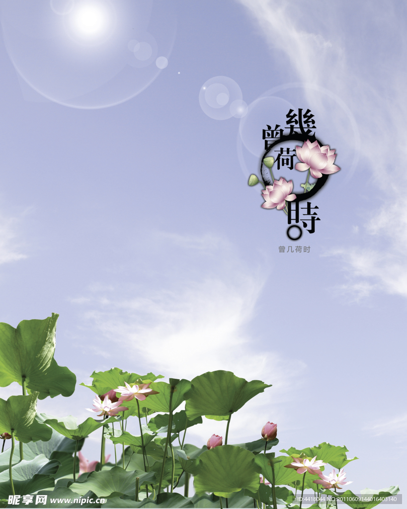荷花