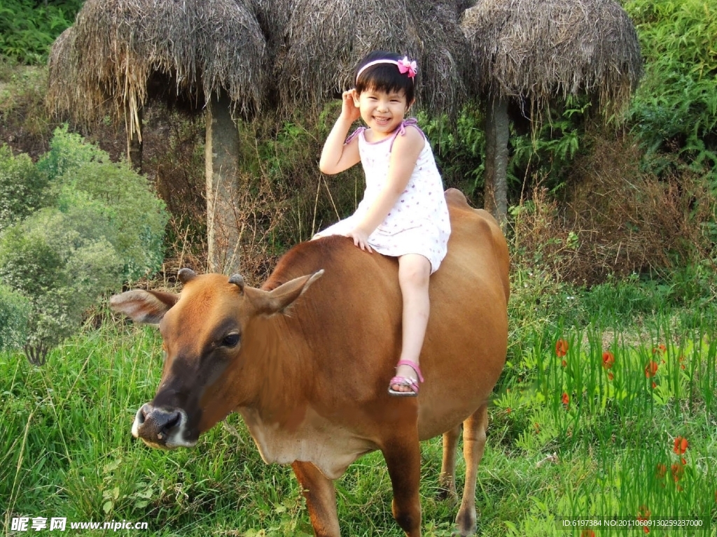 女娃骑牛
