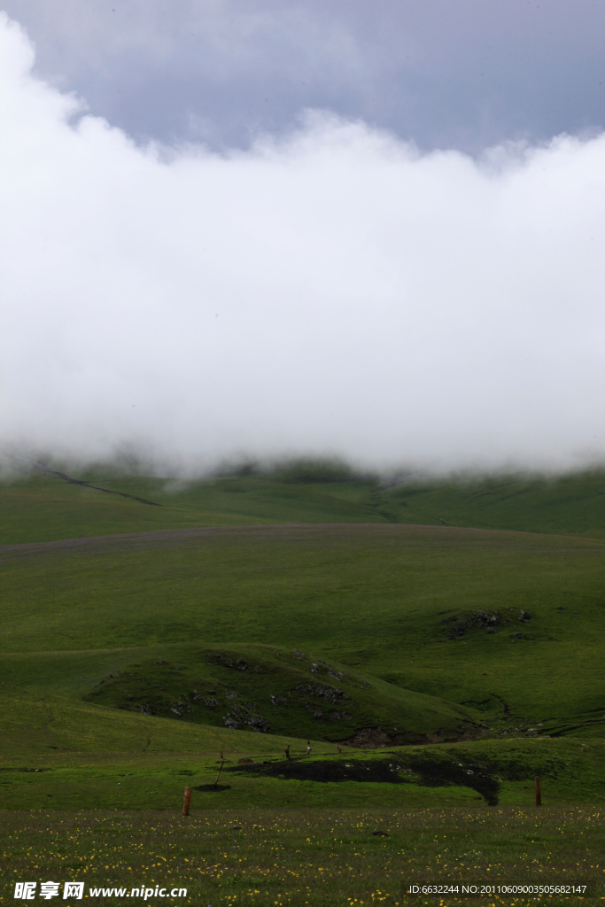 草原上的雾
