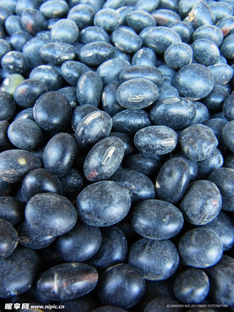 黑豆