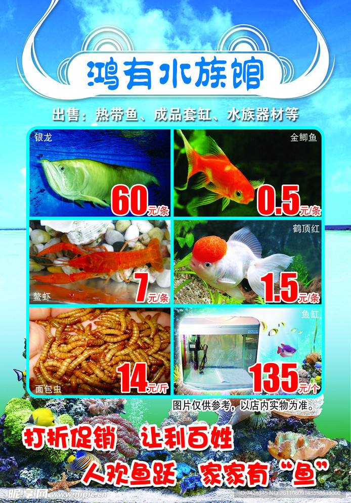 水族馆DM 单
