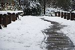 大雪中的小路