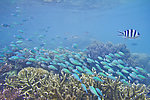 沙巴海景风光