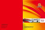 东华能源2010