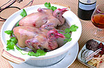 富贵乳鸽