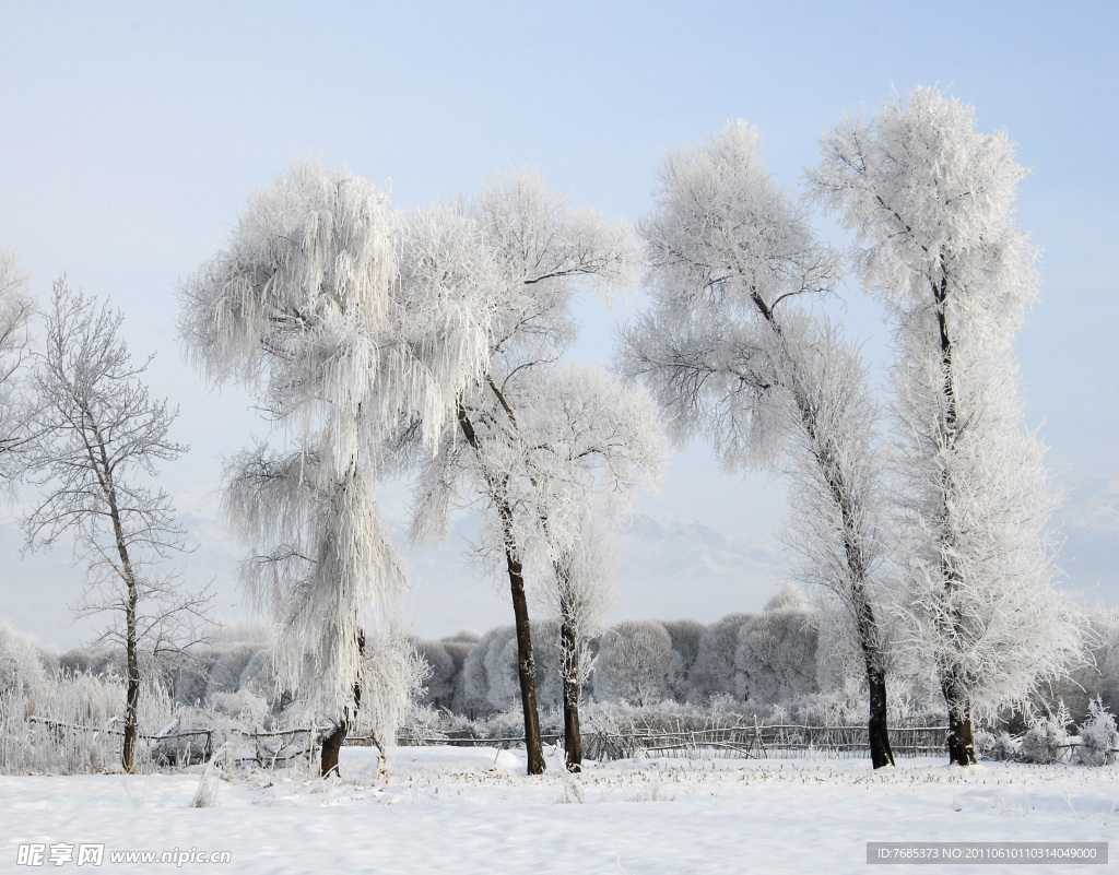 冬雪雾淞