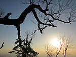 黄昏