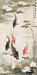 锦鳞飞躍