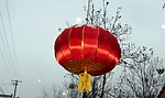 雪中红灯笼