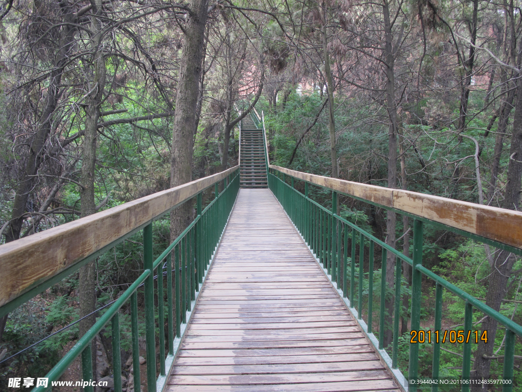 蜿蜒山林的桥梁