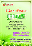 减肥彩页