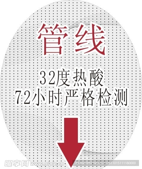 天籁车型牌