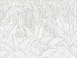 芭蕉林
