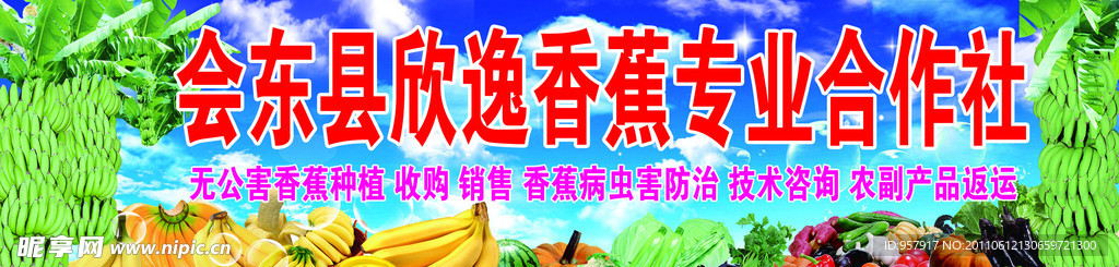 欣逸香蕉专业合作社店招