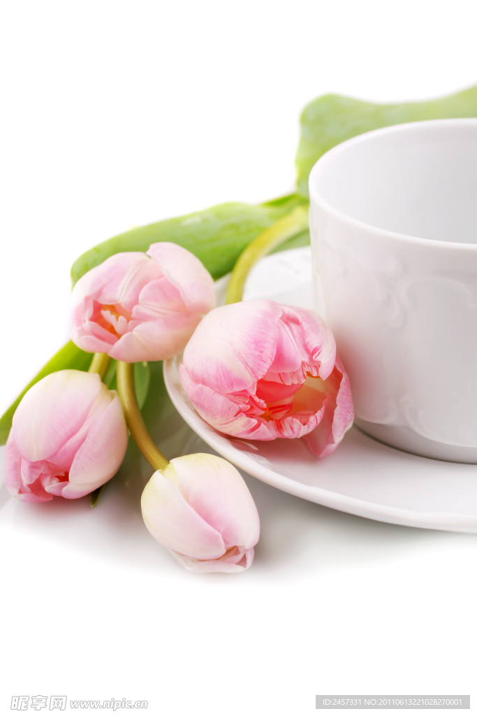 郁金香和茶杯