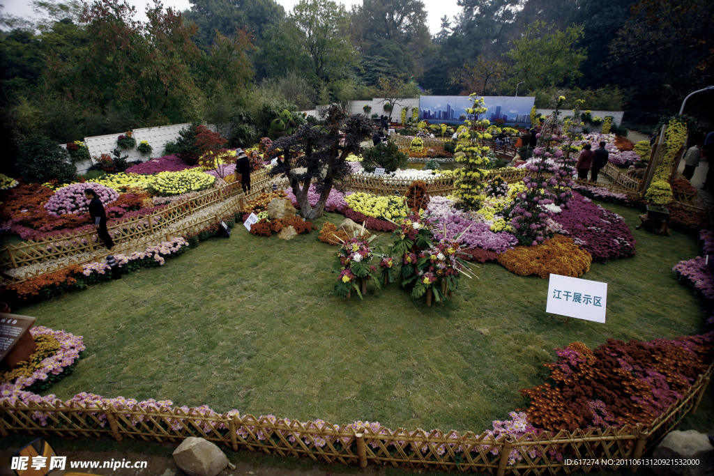 菊花展江干区展台