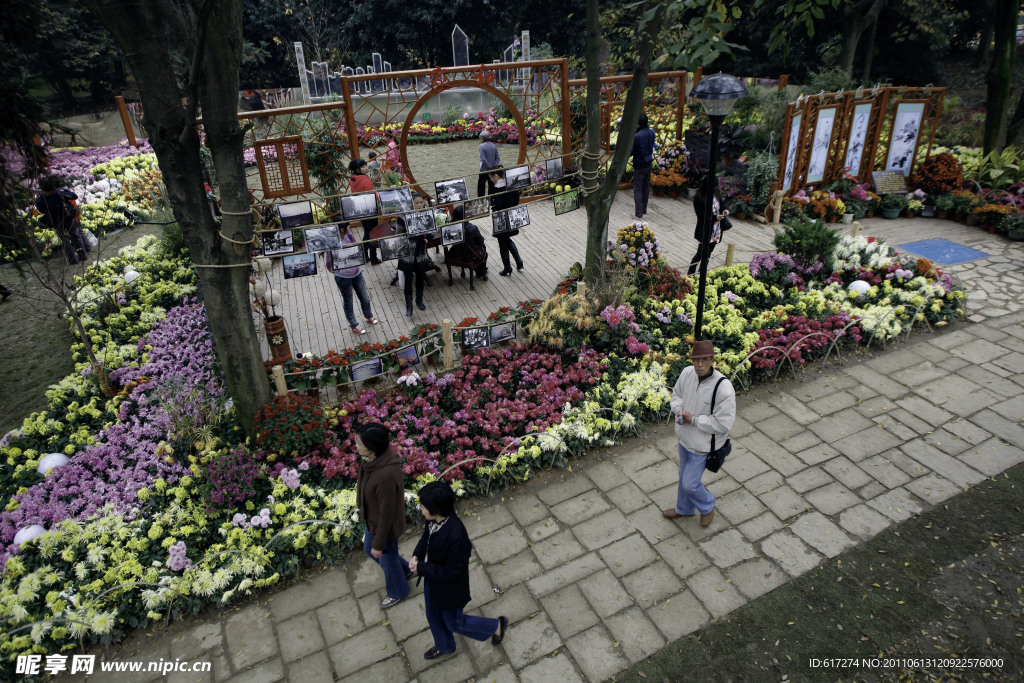 菊花展滨江市政园林展台