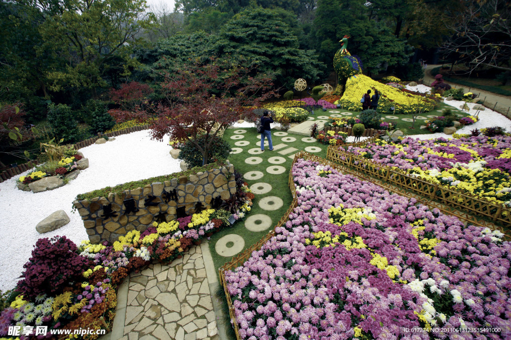 菊花展余杭区展台