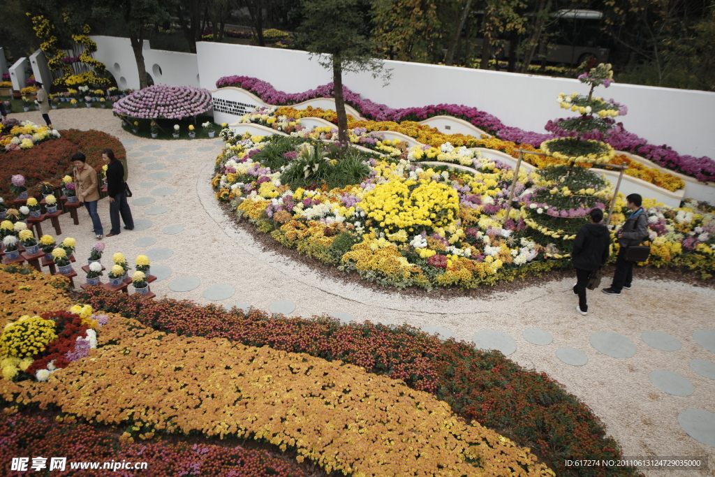 菊花展萧山区展台