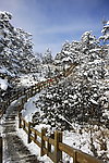 西岭雪山