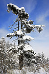 西岭雪山