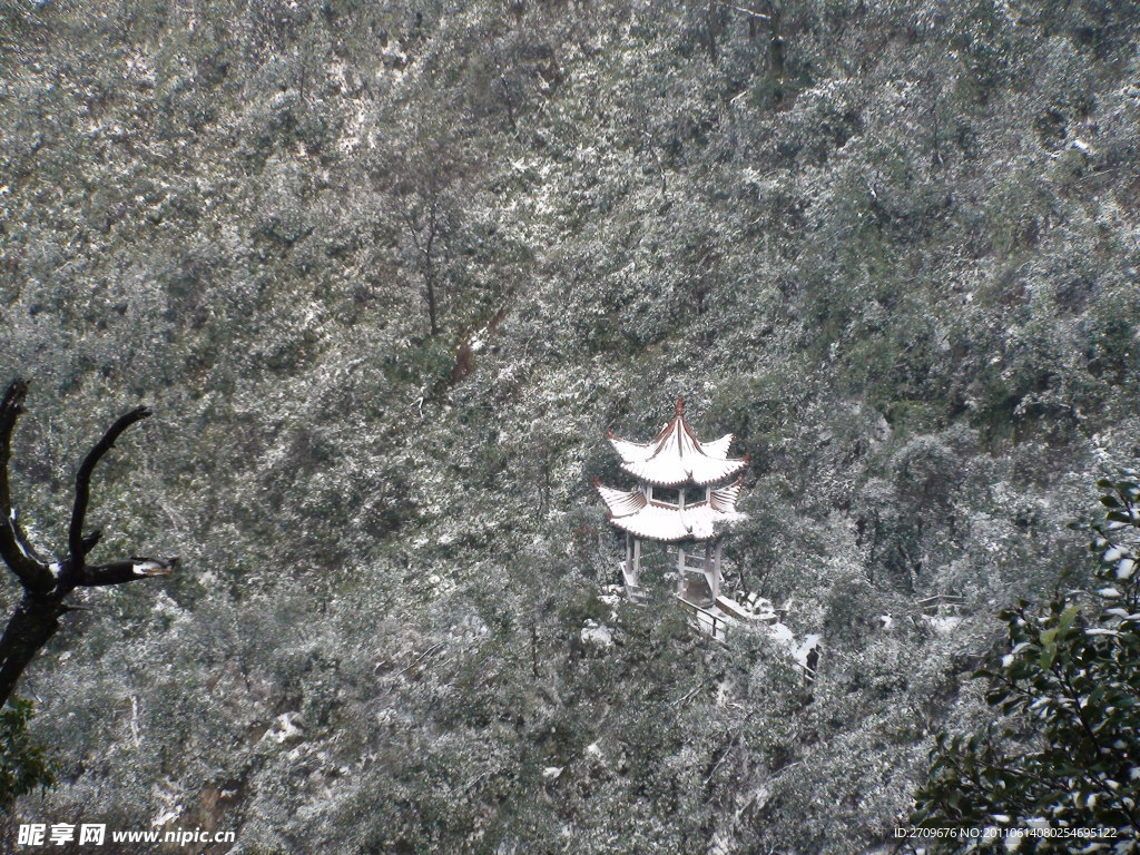 雪景