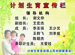 学校计划生育领导机构