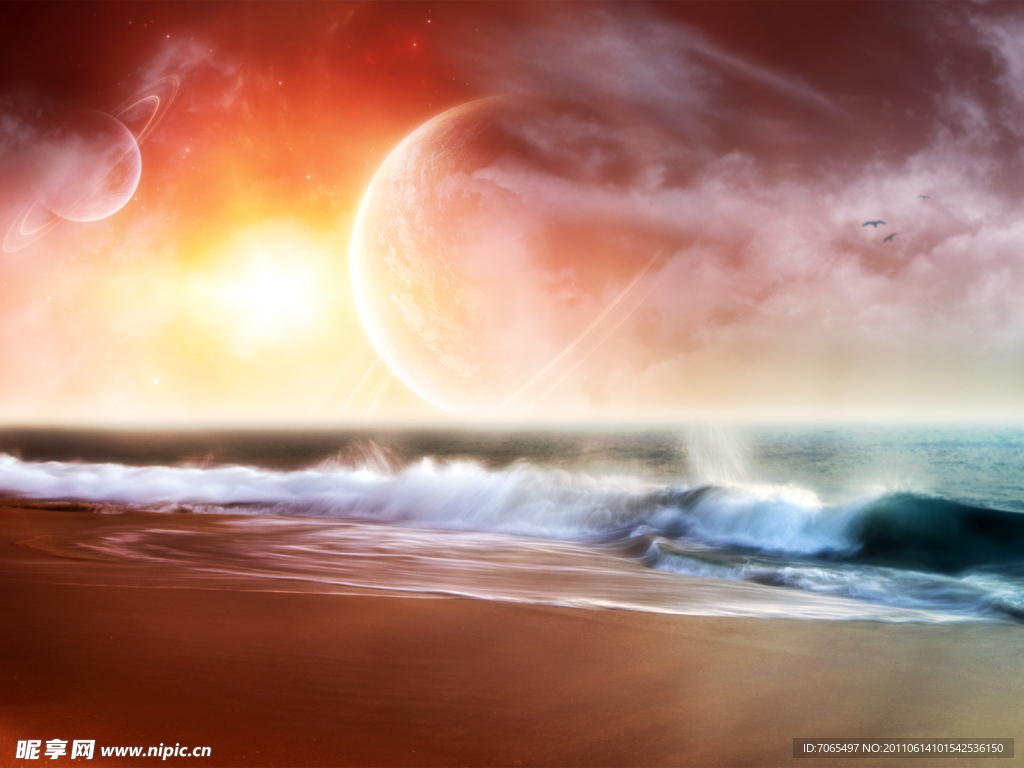 梦幻海洋