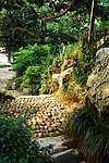西湖小岛一景