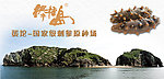 蛋坨海报