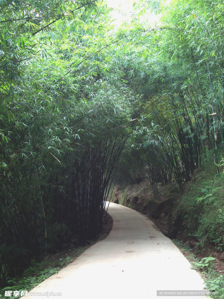 绿道沐川