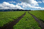 草原风光