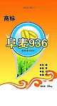 小麦种