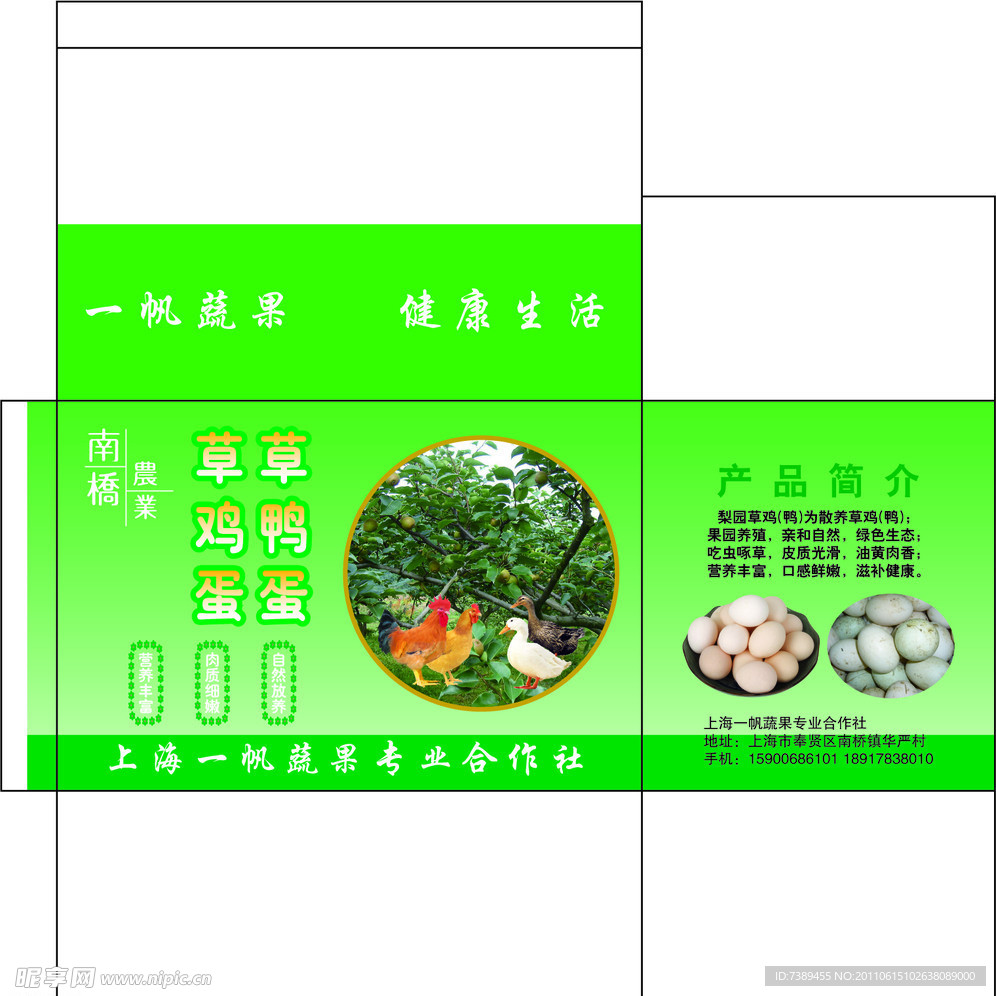 梨园草鸡蛋 草鸭蛋