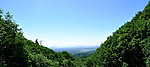 巍巍青山
